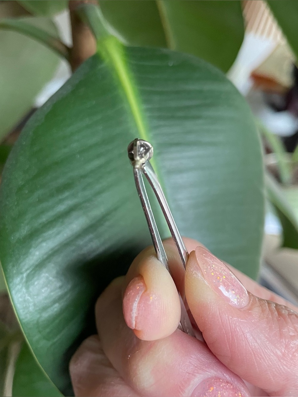 4-prong White Gold Head (setting) for Solitaire Ring Setting with Diamond - Picture 12 of 13